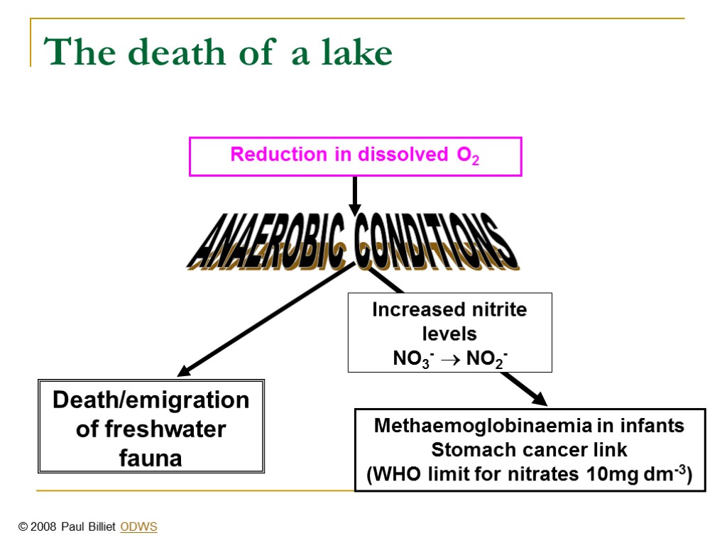 The death of a lake Death/emigration of freshwater fauna Methaemoglobinaemia in infants Stomach cancer